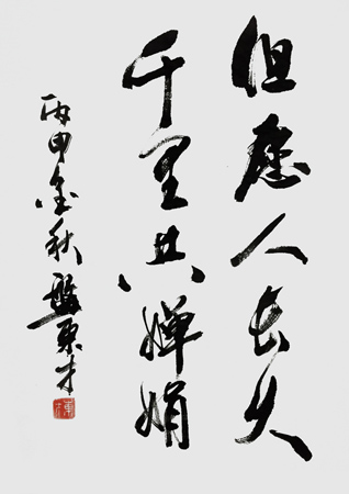 《但愿人長久，千里共嬋娟》